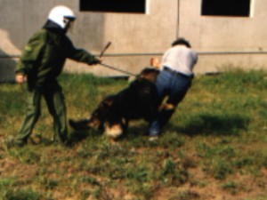 polizei11.jpg